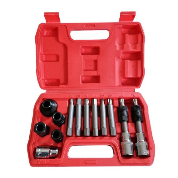 Car Tools | 13 Pcs Alternator Pulley Tool Kit with Storage Case Silver And Black Car Repair & Maintenance Car Tools